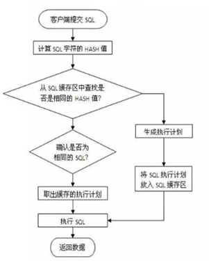 image-20210222204426855