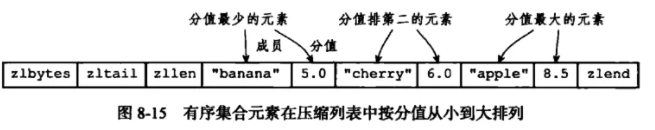 image-20210225094938987