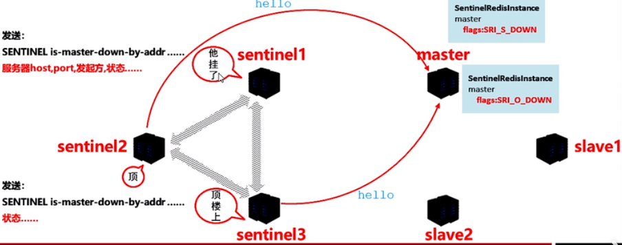 image-20210309110302882